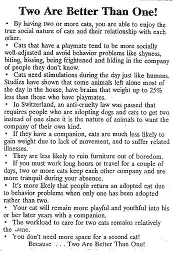 A page from the book about cats.