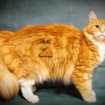 A cat laying on the ground with its head down.