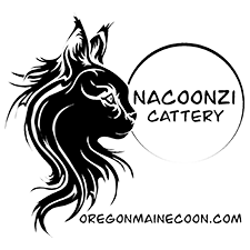 Nacoonzi