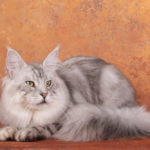 A cat laying on the ground with its head down.