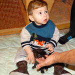 A baby sitting on the floor with an adult.