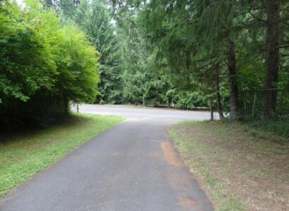 A road with trees and grass on both sides of it