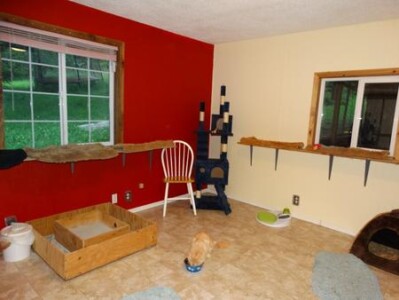 A room with red walls and white trim.