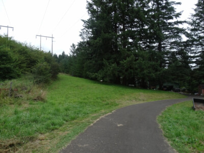 A trail with trees and grass on the side of it.