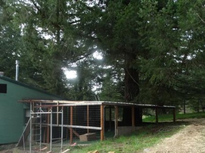 A dog house with a large tree in the background.