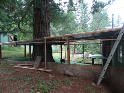 A tree house under construction in the woods.